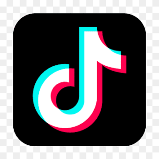 TikTok Accounts | Random 1-100 followers | Verified by email (original email included) | The profiles information is partially filled | Accounts are registered in IP addresses of USA.